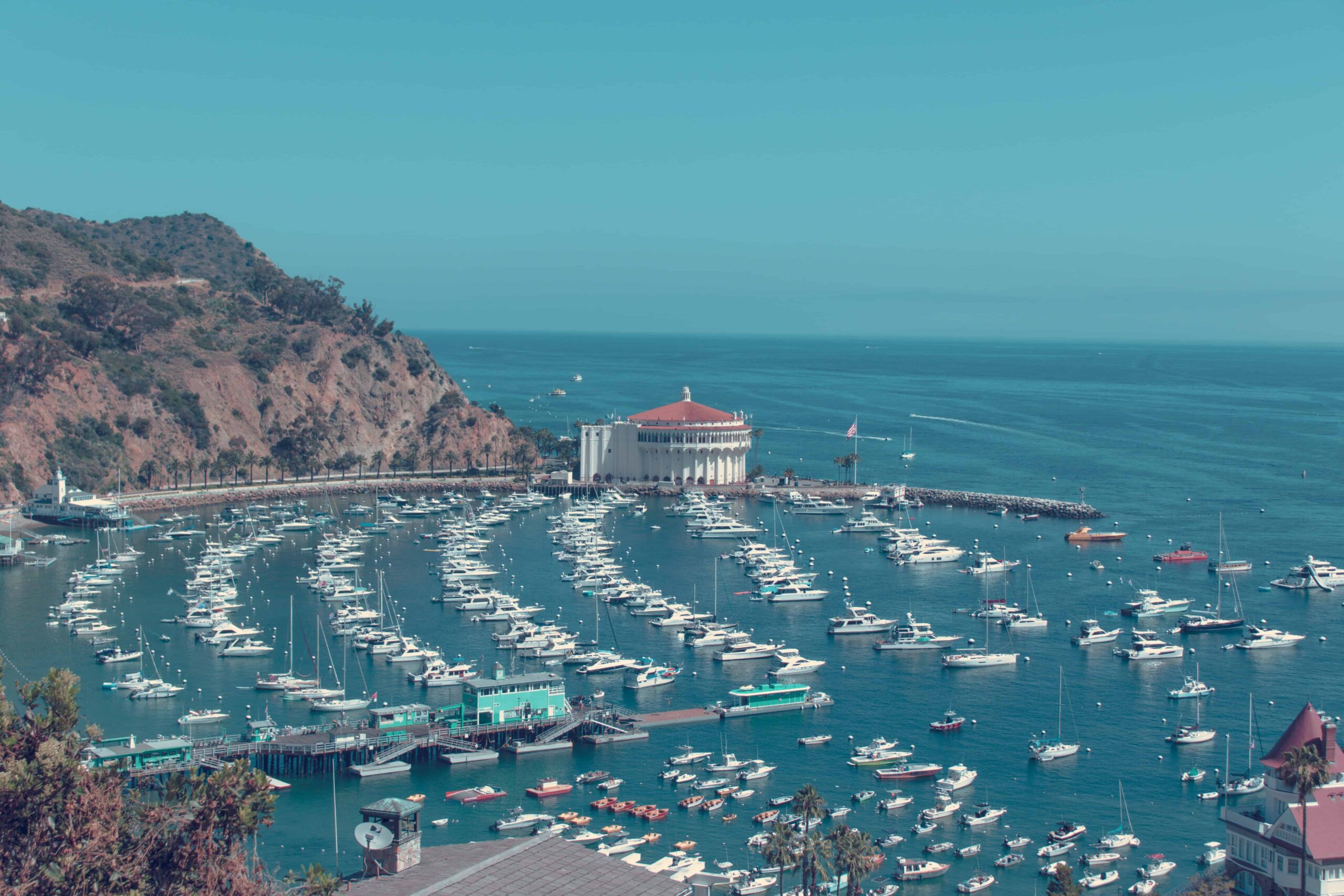 Take a Day Trip to Catalina Island and Go Snorkeling or Diving